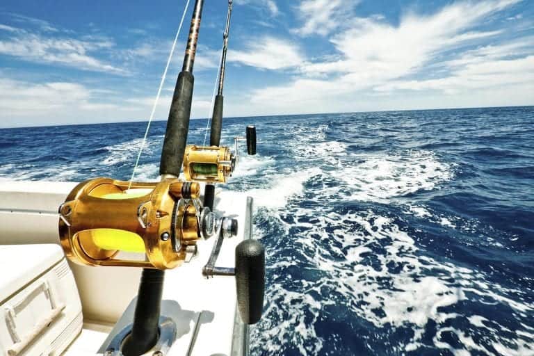 Aruba Fishing Seasons Deep Sea & Sport Fishing Seasons in Aruba